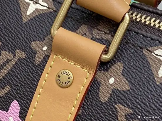 AAA Pruses Bags SPEEDY Louis Vuitton 25 0702